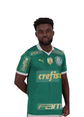 Camiseta Oficial Time - Palmeiras